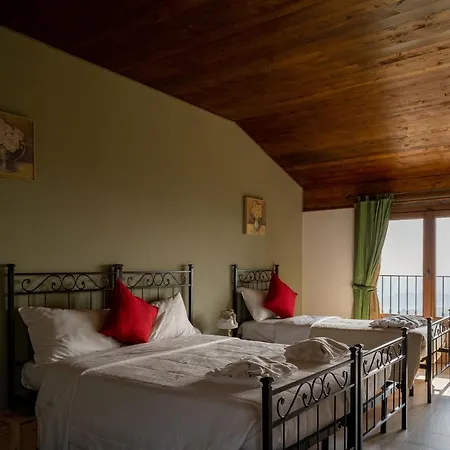 ファームステイ Alle Tre Colline